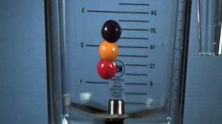 Time Warp: Will It Blend? Inside !!!