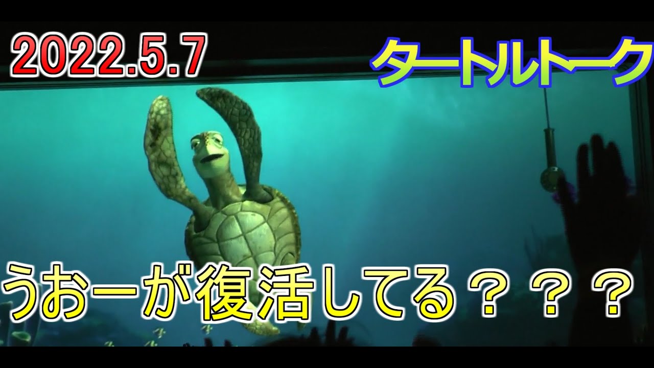 うおー が復活してる タートルトーク 東京ディズニーシー Youtube