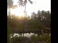 #Kollam #Trip - #MunroeIsland #AshtamudiLake #Kayaking #Sasthamcotta #Seafood #Lighthouse #Cashew