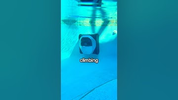 The World’s FIRST Smart Pool Cleaner - Dreame Z1 Pro!