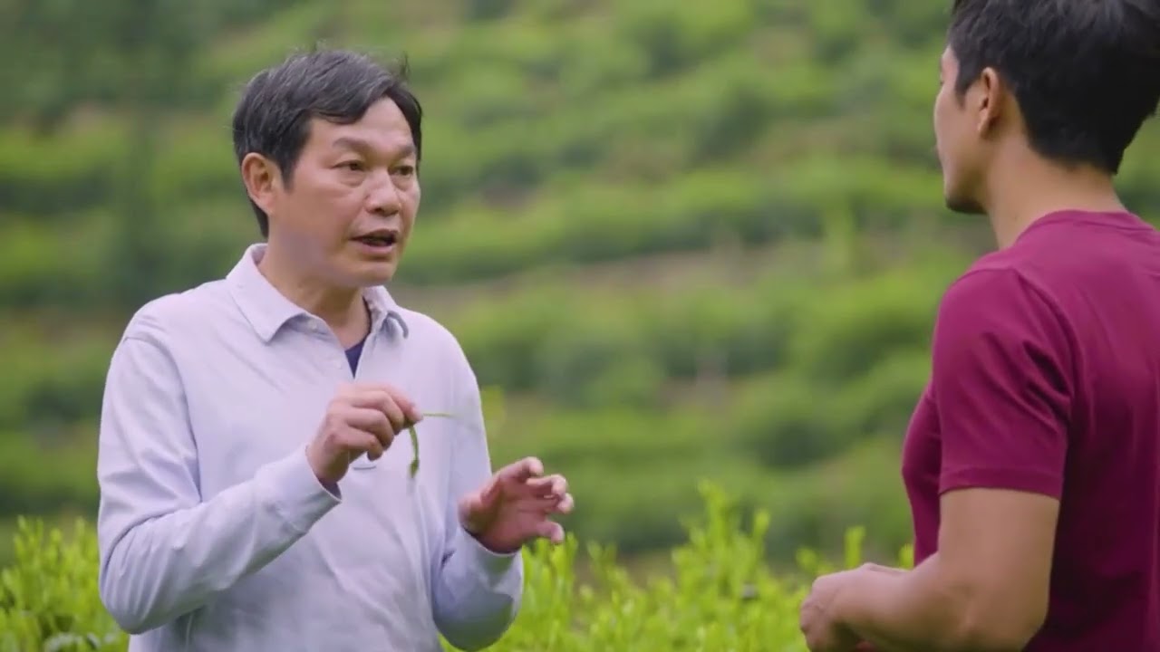 Le Poème des Nervures