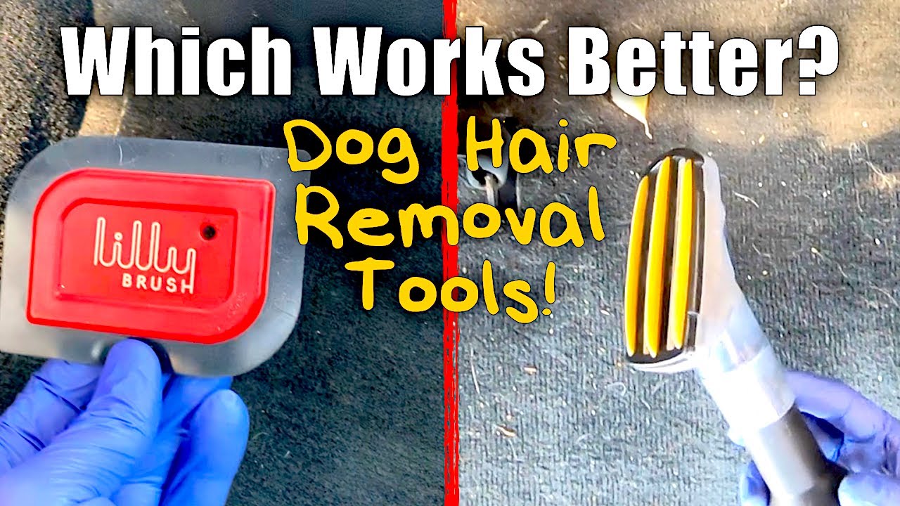 The BEST Dog Hair Removal Tools? Lily Brush or Cyclonic Pet Upholstery  Tool? #doghair #Dogfur 