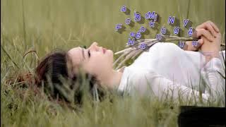 Karaoke Thoáng Một Giấc Mơ Ngọc Sơn