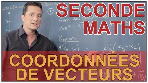 Coordonnées de vecteurs - Maths seconde - Les Bons Profs