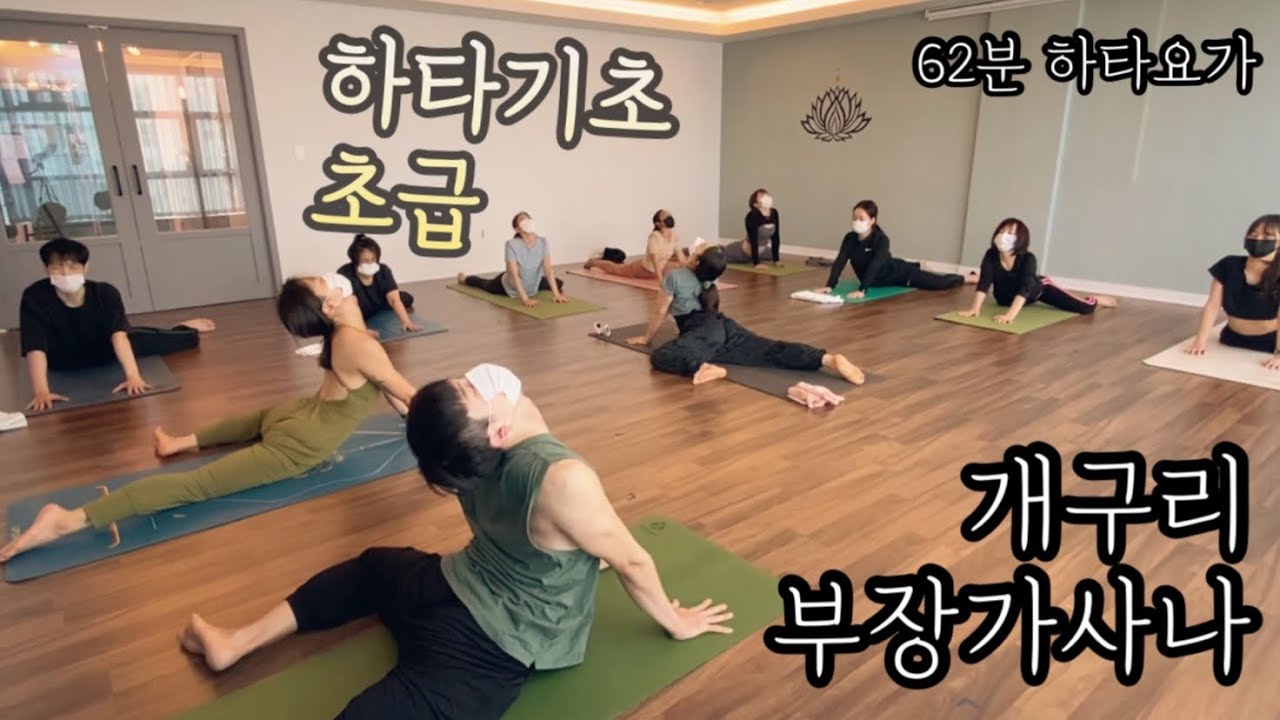 [엔젤요가] 하타기초 | 개구리부장가사나 | 쉬운요가