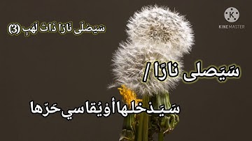 معاني كلمات مختارة من سورة المسد تأمل وتدبر خير الكلمات وأجمل المعاني