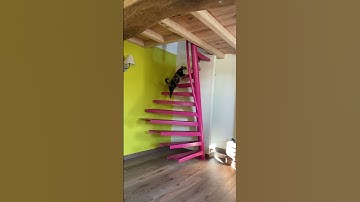 Using the 1m2 space saving stairs.