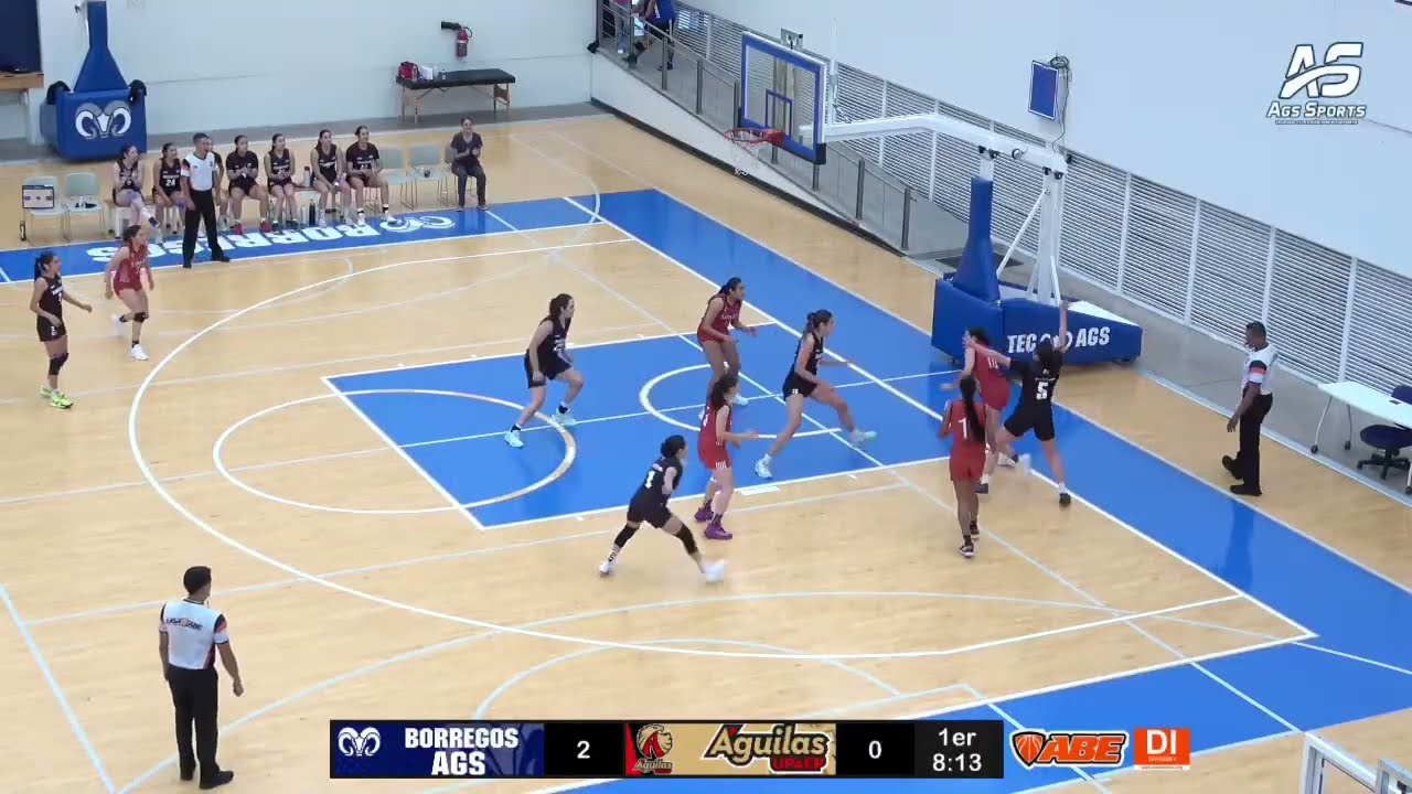 Borregas Ags Vs UPAEP Liga ABE DII