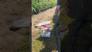 Stop blossom end rot before it starts. One simple fix can make all the difference in your tomatoes.