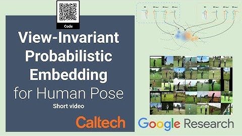 View-Invariant Probabilistic Embedding for Human Pose (ECCV 2020 Spotlight Short Video)