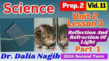 Science  Prep 2 Unit 2 lesson 3  Reflection &Refraction Of Light Part 1  ساينس تانية اعدادي ترم ثاني
