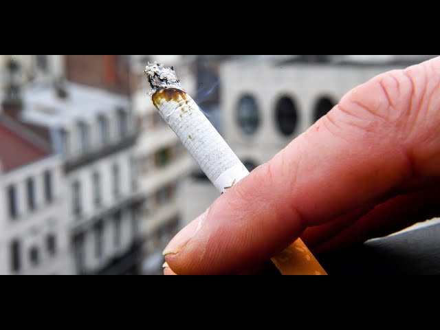 D'o vient la nicotine, cette substance qui rend accro les fumeurs ? -  YouTube