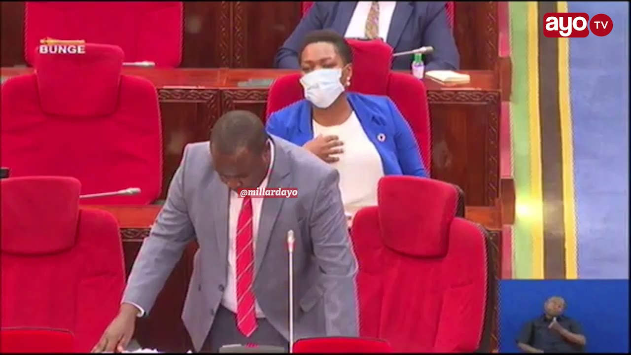 JOHN HECHE BUNGENI LEO 