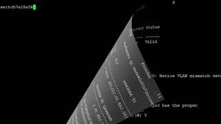 Configure a VLAN Interface on NP6 (FortiGate CLI)-Demo