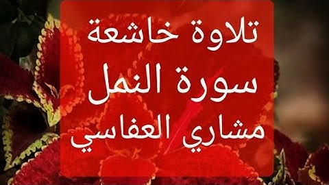 سورة النمل مشاري العفاسي تلاوة خاشعة