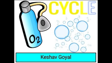 Oxygen Cycle - Class 9 - Keshav Goyal (Natural Resources)