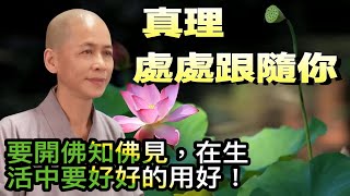 【 清淨妙蓮花微講堂 】    真理處處跟隨你      # 要開佛知佛見，在生活中要好好的用好！