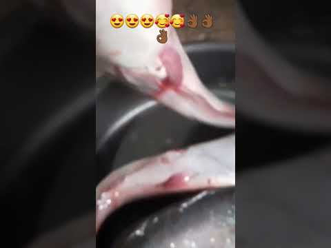 ازاي تعرفي القراميط المصارف من قراميط المزارع