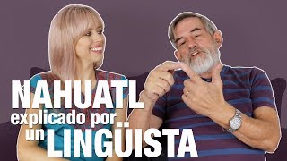 Náhuatl Básico: VERBOS | Superholly