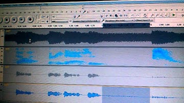 Vocal track noise gate expander and removal