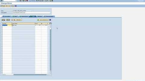 5. Troubleshooting Authorization Issues - Using Transaction Code SU53