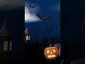 Halloween Night🎃 #cozyambience #halloween #cozynights #ambience #spooky #spookyseason