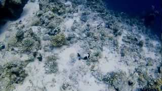 My Sleeping Karma - Sarasvati @ Tiran Island [HD]