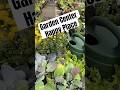 Garden Center Happy Place! What’s yours? #shorts #happy #garden #shopping #plants #greenthumb