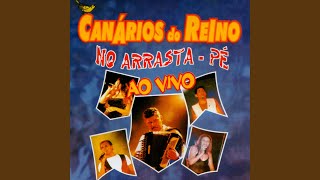 Video thumbnail of "Canários do Reino - Crina Negra"