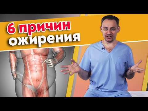 Почему люди толстеют? Основные причины лишнего веса | Профилактика ожирения