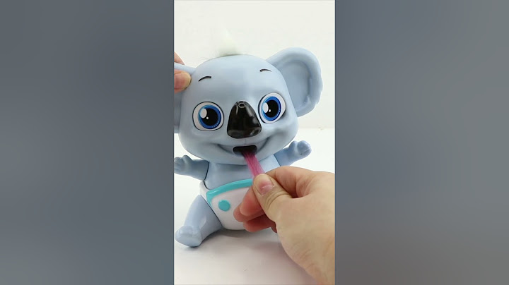 Can this koala really eat your hair? #funny #cute