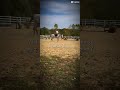 Told myself I would never love a mare…. #horse #equestrianjourney #horsecommunity #fyp #capcut #hola