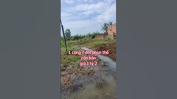 Bán 1 công 7 đất thổ ở đức huệ, long an.Sđt 0979920397