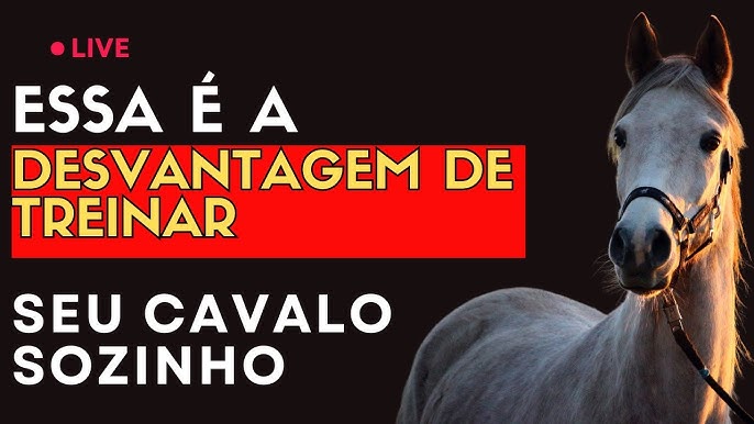 O que fazer em uma situação que o cavalo pula com você em cima