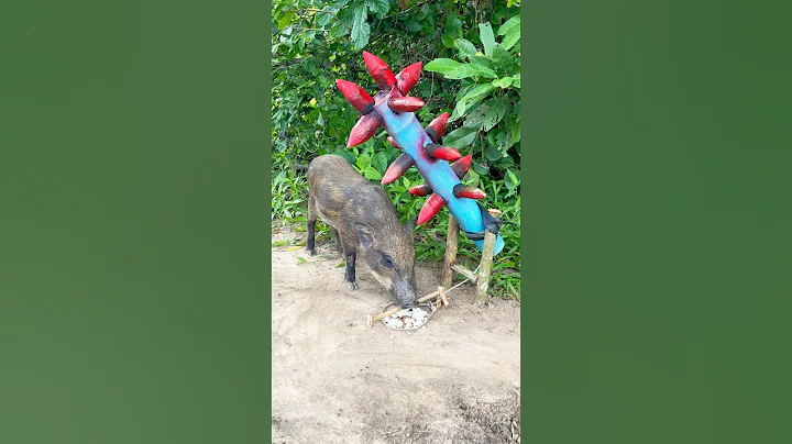 Giant Wild Boar Trap - The Power Pig Trap Make from Big Wood & PVC #animals #wildlife #shorts