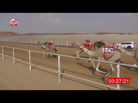 الشوط 16 الظبي لـ حمد سعيد سيف الدرعي 7 57 38 شارة الديوان 2025 2 8 ايذاع الرقيعات