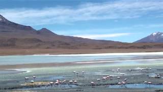 Les lagunes de la Route des Joyaux, Bolivie