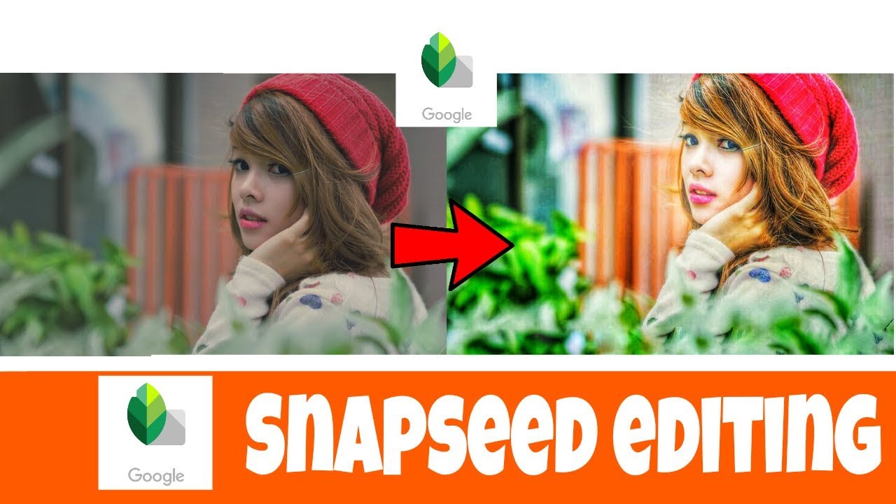 snapseed photo editing pc download snapseed photo editing pc download