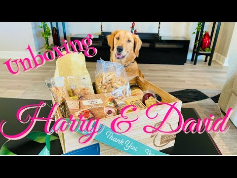 UNBOXING HARRY AND DAVID | PRESENT FROM A FRIEND