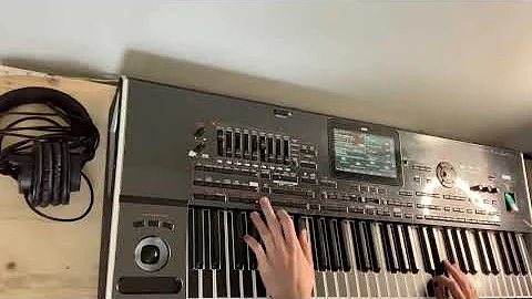 Djani - Boli me sto me ne volis Instrumental Cover Korg Pa4x