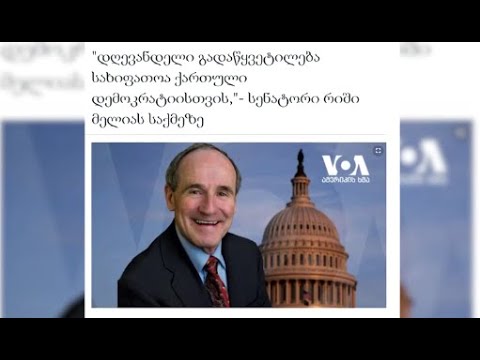 ბატონი მელიასთვის თავისუფლების აღკვეთა კიდევ ერთი პოლიტიკურად მოტივირებული პატიმრობაა- ჯიმ რიში