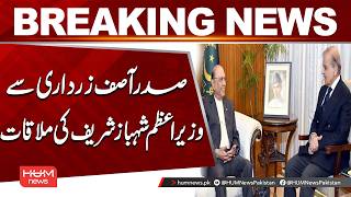 President Asif Ali Zardari Meets Pm Shehbaz Sharif Key Political Discussion Hum News Stan