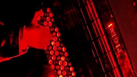 WHALETRACKING unlimited, M.D. (new version/ trailer 1)