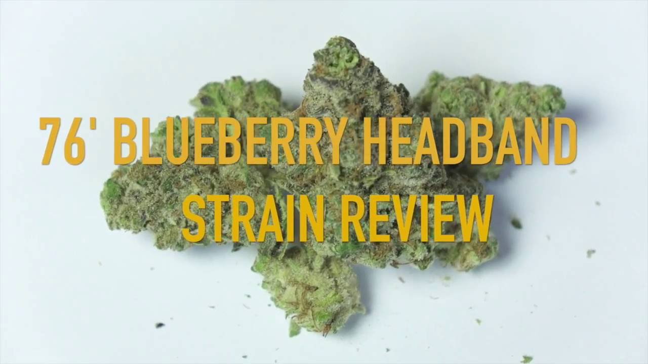 76' BLUEBERRY HEADBAND STRAIN REVIEW | NUG RUN