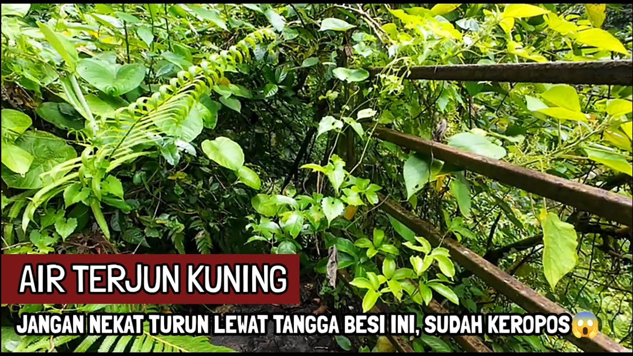 MASIH TERBENGKALAI, AIR TERJUN KUNING TAMAN BALI BANGLI BALI(1/3/2026)
