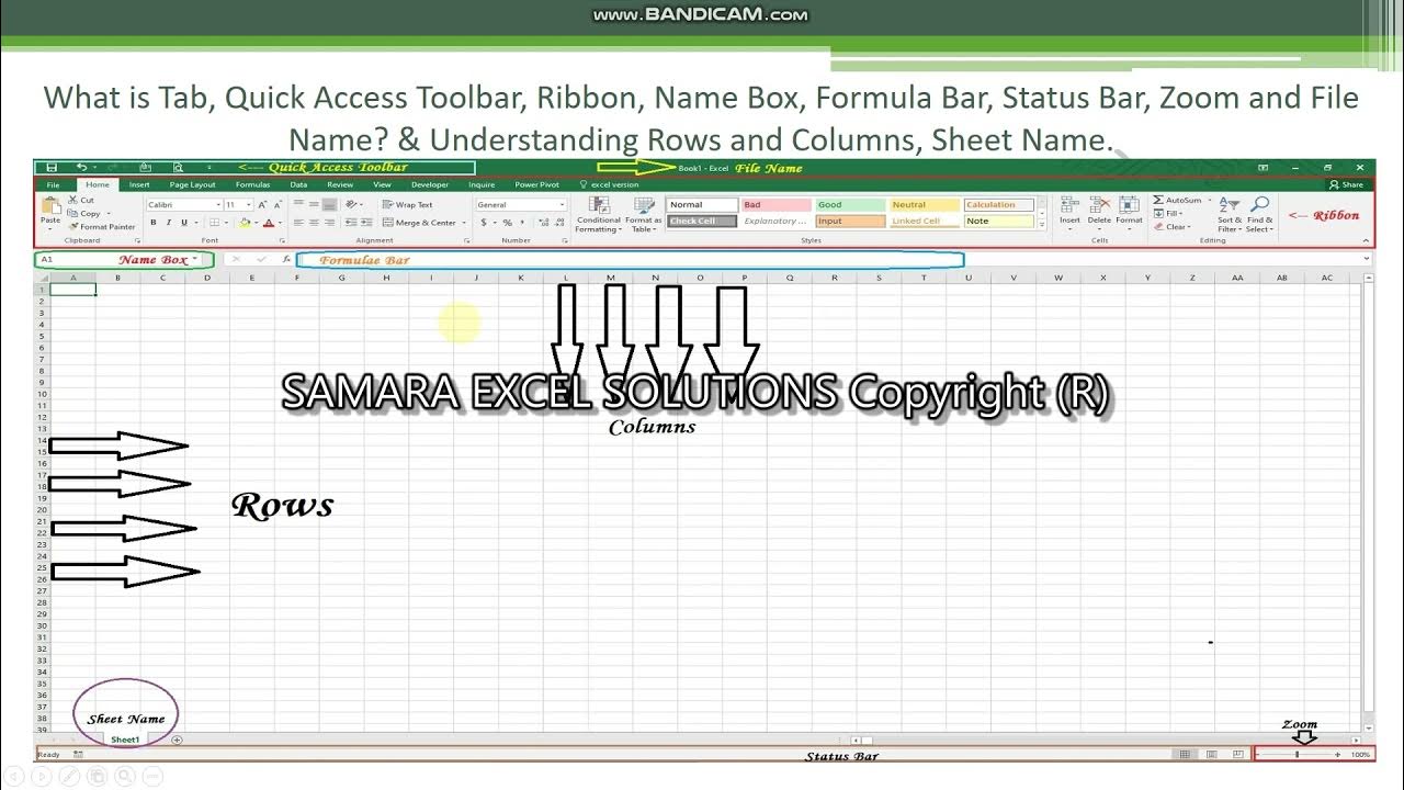 4 What is Tab, Quick Access Toolbar, Ribbon, Name Box, Formula Bar