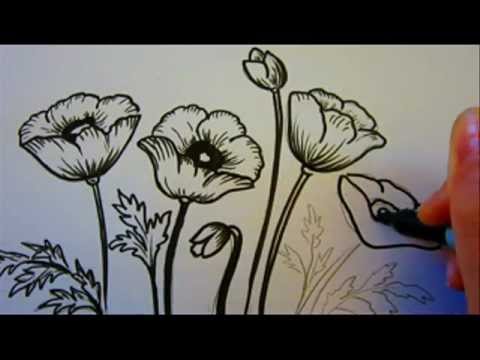 Flower Tutorial - How To Draw Flowers - Poppy Flowers - YouTube