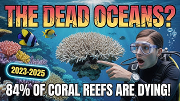 The Dead Oceans: Inside the Worst Coral Bleaching Crisis in History (2023-2025)”