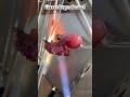 Viral Daily Practice | Octopus | Glasses