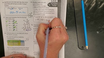 Envision Math Topic 4 (Multiplying Decimals) Review answers part 2